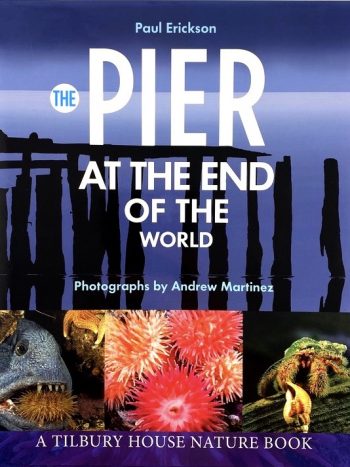 Pier at the end of the World