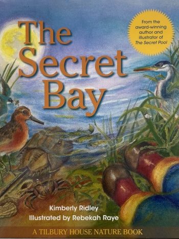 The Secret Bay